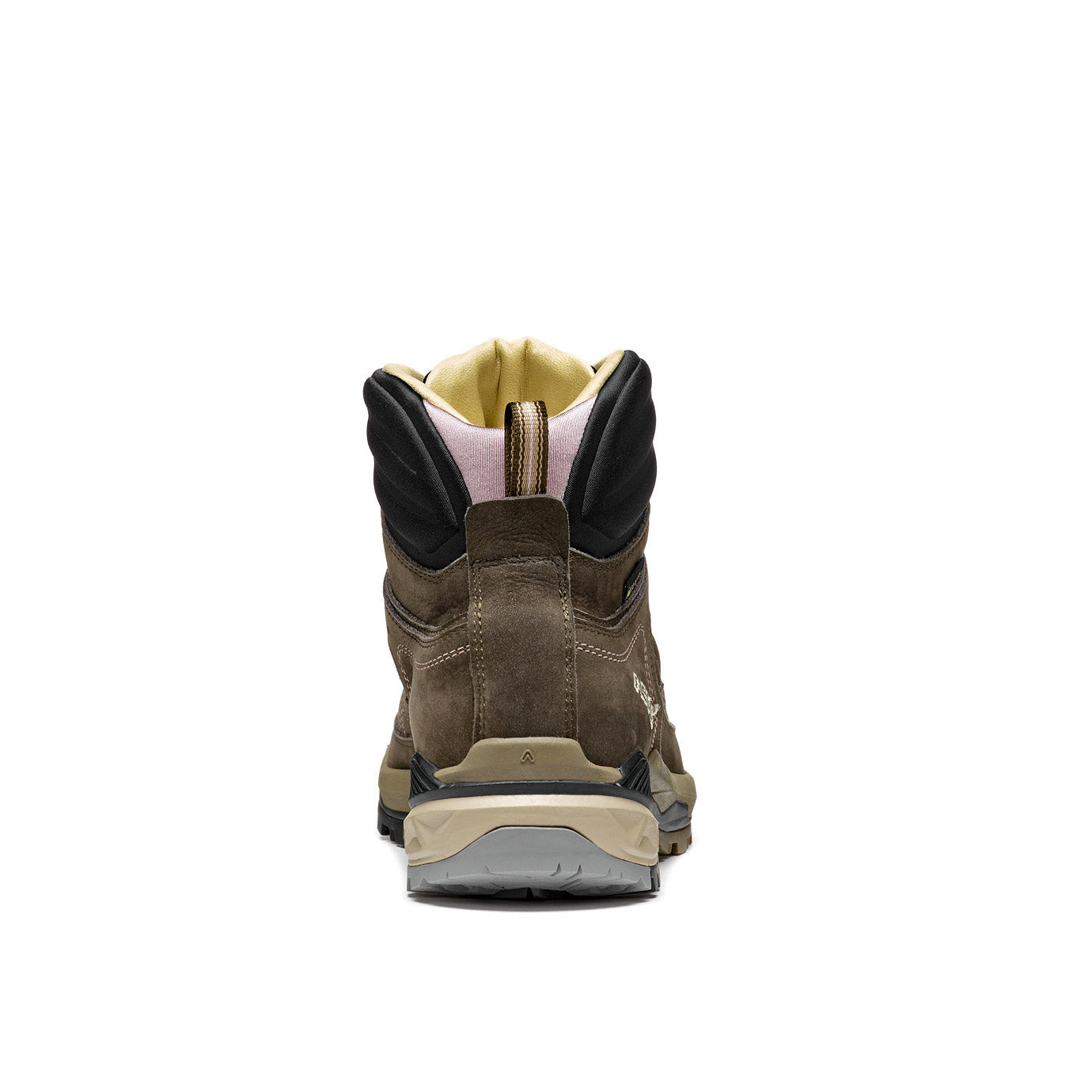 Falcon Evo NBK GV - Womens