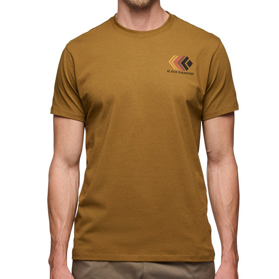 Faded SS Tee