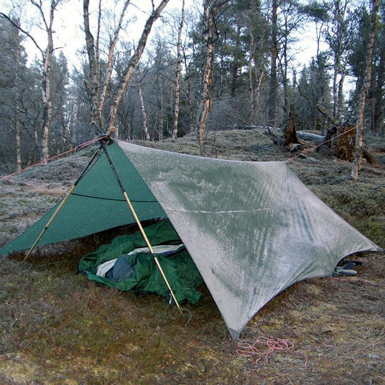 Tarp 10 Ul