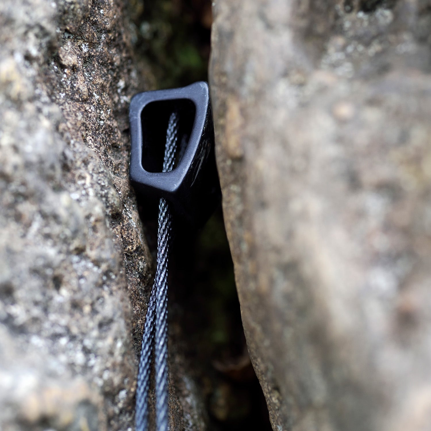 Wallnut Set 1-6
